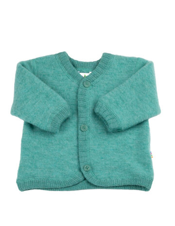 Baby/dreumes fleecejasje in groen (merinowol)